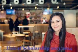 Unicaf Scholarship